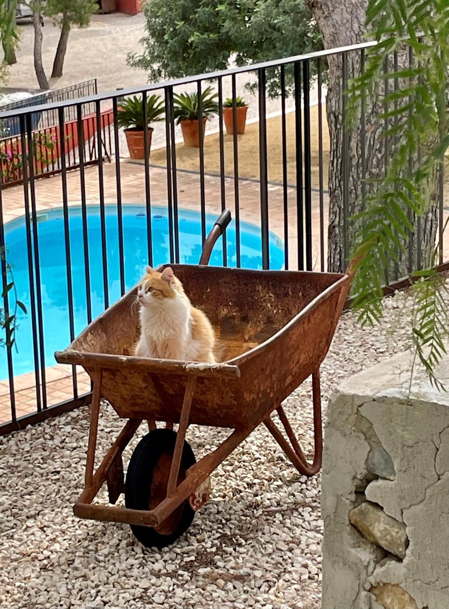 Finca El Otero Aigues Εξωτερικό φωτογραφία