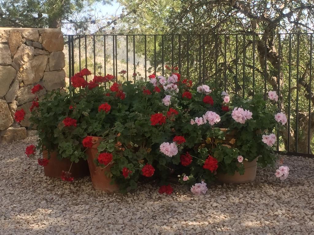 Finca El Otero Aigues Εξωτερικό φωτογραφία