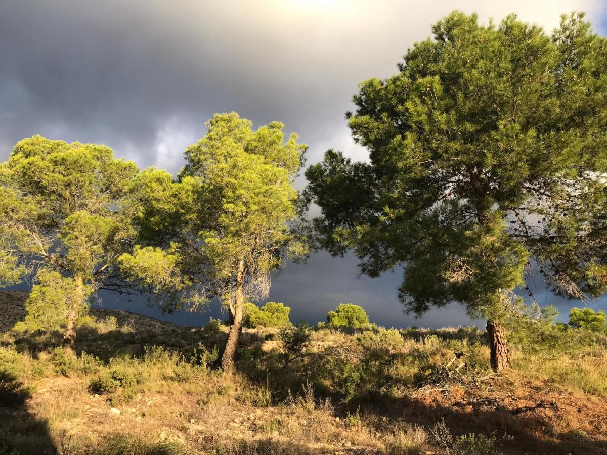 Finca El Otero Aigues Εξωτερικό φωτογραφία